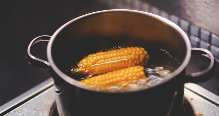 kukurydza gotowana